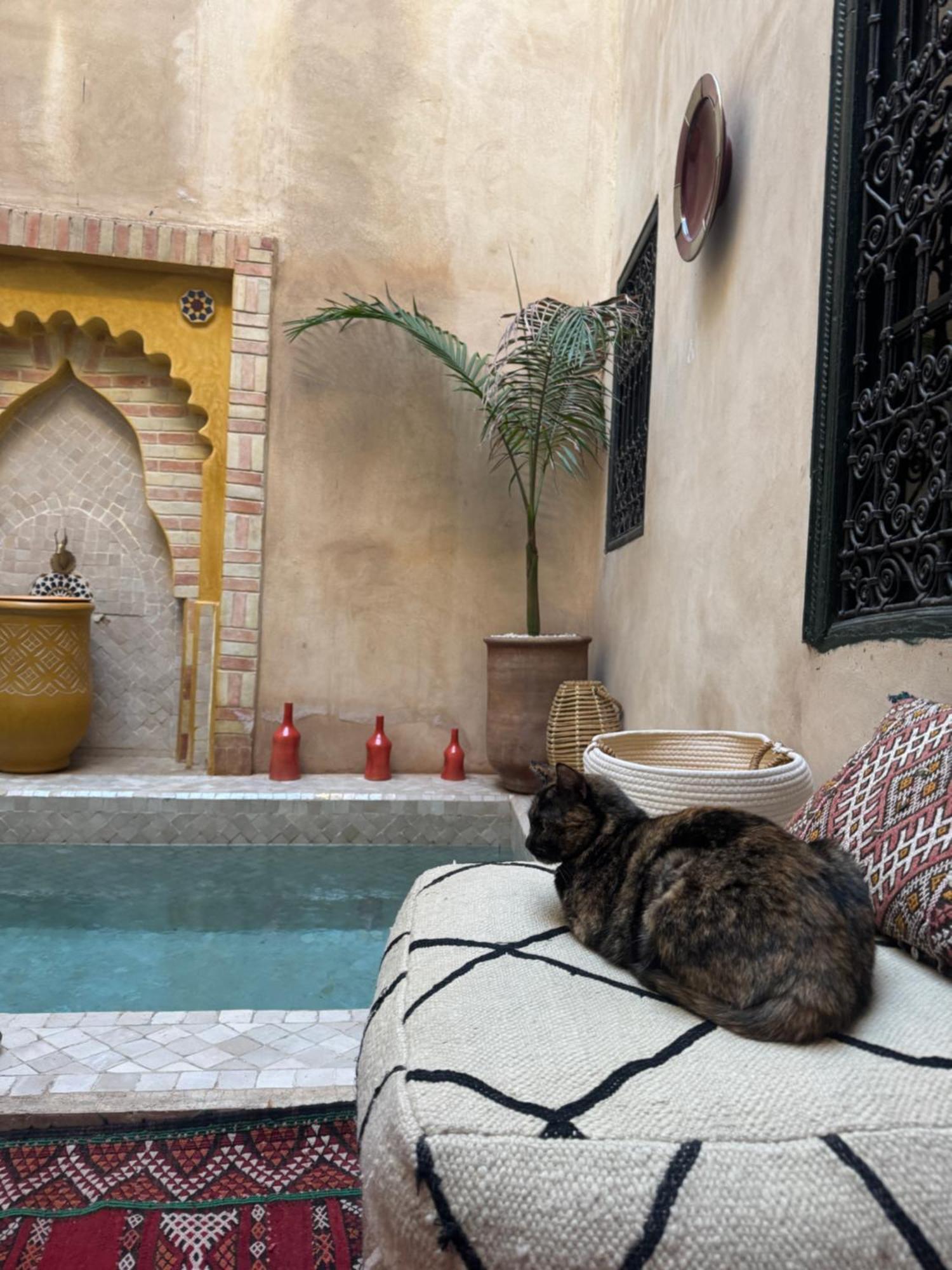 Riad Paquerette Marrakesh Esterno foto